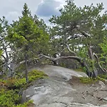 Vernetti 1 Koli Chalet Kolinkylä