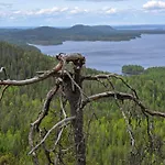Vernetti 1 Koli Kolinkylä