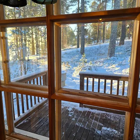 Vernetti 1 Koli Hattusaari