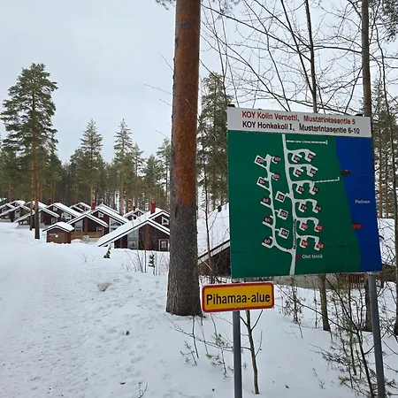 Dağ evi Vernetti 1 Koli Kolinkylä