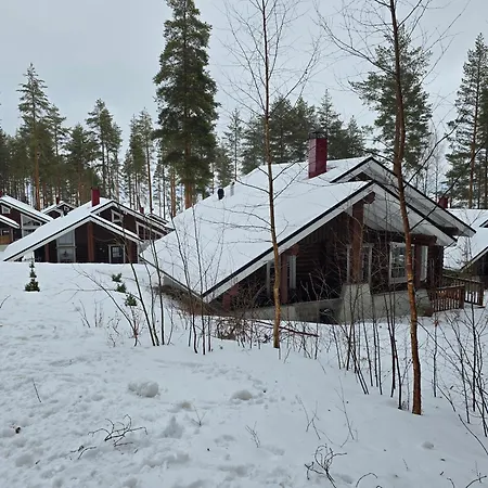 Chalet Vernetti 1 Koli Kolinkylä