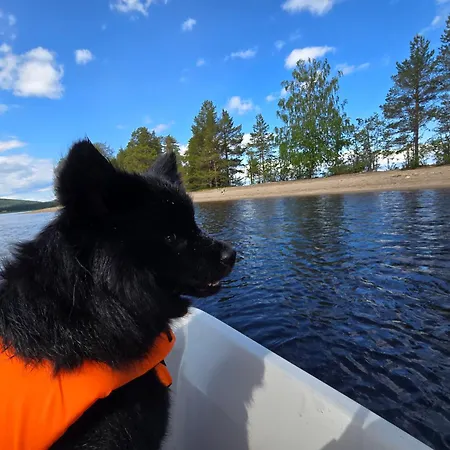 Vernetti 1 Koli Chalet *