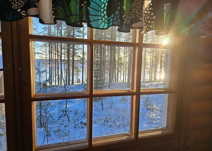 Vernetti 1 Koli Dağ evi Kolinkylä