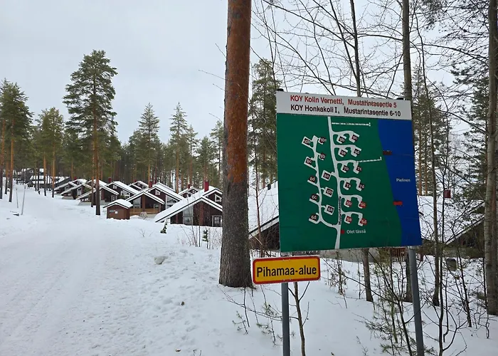 Dağ evi Vernetti 1 Koli Kolinkylä