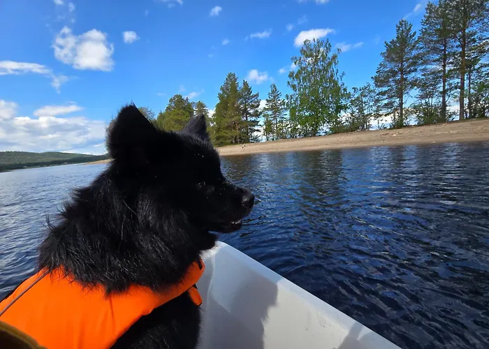 Vernetti 1 Koli Dağ evi *